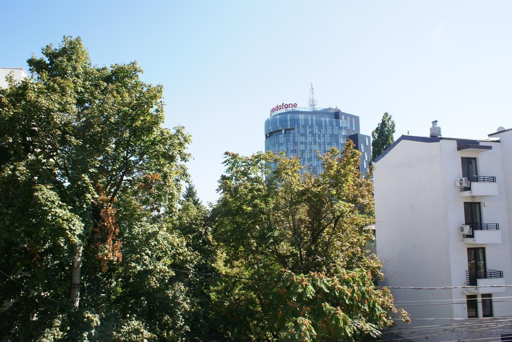 Pensiunea Helvetia Bucarest Camera foto